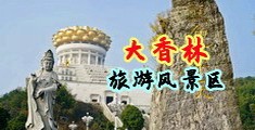搞逼的视频大全中国浙江-绍兴大香林旅游风景区